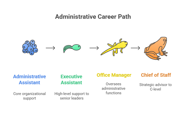 Administrative Career Path