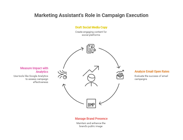 Marketing Assistant's Role in Campaign Execution